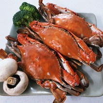 2022년 신안 햇꽃게 특상품 봄 가을 제철 꽃게 서해안 급냉 암 숫꽃게 1 2 3kg, 2022년 햇꽃게, 암수섞임-소 1kg