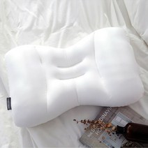 모던하우스 통째로 빨아쓰는 3D 인체공학 꿀잠베개