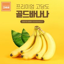 바나나13kg 바나나구매 바나나1송이 고씨네 바나나가격 바나나도매 바나나판매 수입바나나 바나나주스 특급, 13kg