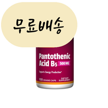 자로우 판토텐산 B5 500mg 100일분 재로우판토텐산, 판토텐산 B5 100일분, 1개, 100개