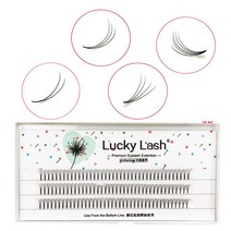 럭키 래쉬 프리메이드 볼륨 팬 속눈썹 익스텐션 3D/4D/5D 샤프 좁은 스템 자연스럽고 인조 밍크, 01 D_01 0.10mm_06 13mm_01 4D