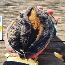[활전복 산지직송] 완도 전복선물세트 직거래 대 특대 특특대 선물용 / 1kg 2kg 10미 20미 30미 40미 꼬마전복 미니전복 가정용 내일도착, 1-6) <왕특> 1kg 7-9미” class=”wr-img”></a></div>
</div>
</div>
</div>
<div class=