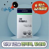 닥터루템 그린프로폴리스 60g 사은품증정, 6개, 60캡슐
