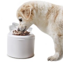 강아지 고양이 겸용 2구 급체 방지 높이 높은 각도 조절 물 밥 그릇 수반 식기 식탁 투명 접시 펫테이블 애견 반려견 애완견 간식 분리 보관 사료 반려 동물 소형견 중형견, 1개