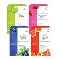 해피테라스 콤부차 탄산 빵빵 스트로베리 라임 블루베리 자몽 원액 키트 스코비 만들기 5gx15개입