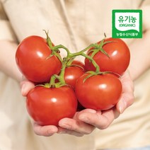 친환경 유기농 무농약 완숙 찰토마토 2kg, 1개