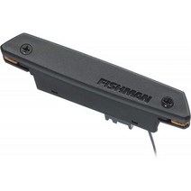 fishman Neo-D Soundhole single Pickup 피쉬맨