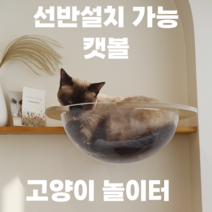 자취방 고양이 투명 캣타워 선반설치 가능 캣볼 좁은공간 설치 떼껄룩 놀이터 중형 대형