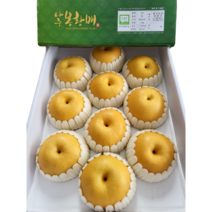 임과일 GAP 명품 나주배 5kg / 7.5kg / 15kg 신고배 풍수배 황금배 산지직송, 1박스, 8. 황금배 7kg(14~18과)