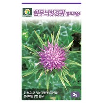 레드문 딸기 100립 - 씨 씨앗 고급 빨간 딸기씨앗 딸기씨 식용 관상용 채소씨 채소씨앗, 03_다농_흰무늬엉겅퀴(2g)