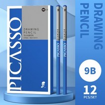 피카소 12 Pcs 스케치 연필 블랙 세트 드로잉 예술가 숯 아트 용품, 9B x12