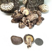 닐스샵_ 국내산버섯 건표고버섯 마른표고버섯 버섯 말린표고버섯 요리용표고버섯 _neills, 닐스샵_ 참나무표고버섯 동고(상.소) 200g, -이상품선택-