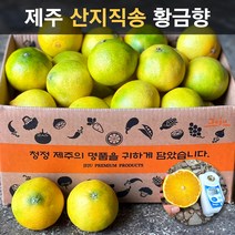 [제주 산지직송] 당도선별 고당도 프리미엄 황금향 15브릭스 이상 당도보장 못난이 중과 가정용 선물세트 제주도귤, 01. 황금향 1kg 중과(3/5과)