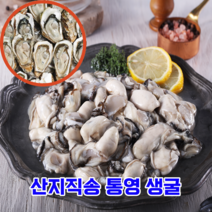 계절식탁 영양 만점 산지직송 통영 생굴 하프쉘 깐굴, 3kg
