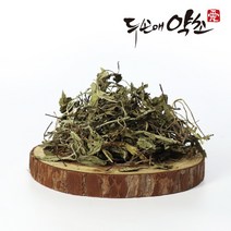 두손애약초 민들레, 300g, 1개