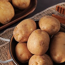 감자 수확중 수미햇감자 맛있는 감자 5kg 10kg, 햇수미감자5kg(중/통구이용 40~70g)