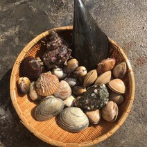조개탕 조개구이세트 (6종)1kg 제철 캠핑모듬조개 해산물 바지락 째복 명주 갈미 백합조개 백상합 모시 뿔소라 대왕 참가리비구이 키조개 전복 삐뚤이소라 밀고동 돌조개 흠스수산, 1개, 2kg