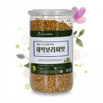 새싹보리씨앗 450g 밀폐용시밀통 정든팜 보리새싹, 단품