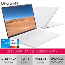 LG전자 2021 그램 17, 스노우 화이트, 17ZD90P-GX7TK, 코어i7, 256GB, 16GB, Free DOS