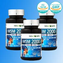 MSM 2000 트리플 케어 3개월분 MSM 뼈 관절 건강 식이유황 엠에스엠, 단품, 단품
