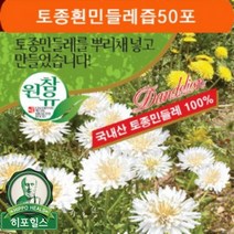 참유원 토종 흰 민들레즙 100ml 60포, 100ml 50포