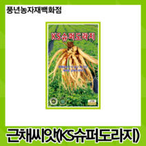 KS슈퍼도라지 30g/재래종 보다 더 굴고 더 커진 개량종 슈퍼 도라지 씨앗