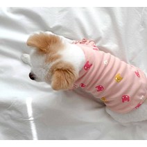 말티즈 장모치와와 말티푸 비숑 프리제 옷 여름 얇 애완 동물 고양이 포메라니안 요크셔 슈나우저 테디 푸들 강아지 강아지 작 강아지, 분홍색., xs (권장 무게 1-2)
