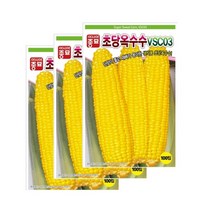 (아시아종묘 옥수수씨앗종자) 초당 옥수수 VSC 03 (100립 3개입) 햇종자, 3개