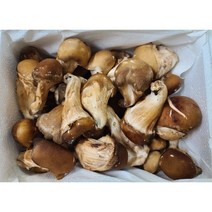 참말로 국산 참송이버섯 1kg, 가정용 1kg