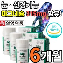 프리미엄 30대 40대 50대 성인 여성 남성 부모님 마그네슘 마그네숨 마그네시움 2개월 4개월 6개월 분 선물 추천, 3개 - 6달분 + 사은품