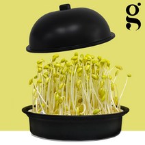 감성편의점 집에서 콩나물 키우기 재배기 기르기 세트 키트 어린이집 유치원 초등학교 가정용, 3) 대형키트(체험콩+설명서)