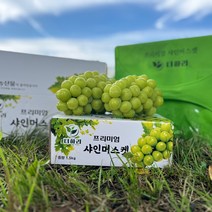 [특등급선별] 고당도 프리미엄 선물포장 샤인머스켓 망고포도 선물용, 특등급 2kg(3수), 1박스
