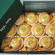 세상모든농부 프리미엄 추석 과일 선물세트 나주배, 05_프리미엄 배선물세트 7.5kg 10-11과, 옵션선택