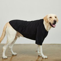 럭키페터 무지 강아지 옷 소형견 대형견 티셔츠, 블랙