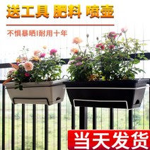 텃밭 상자 옥상 화단 딸기 화분 특수 냄비 직사각형 꽃 긴 스트립 발코니는 테라스 심기 야채 모종 플라스틱 소재 걸 수 있습니다, [07] 밝은 회색 냄비 + 트레이 + 블랙 프레임, [01] 플라스틱, [02] 큰