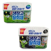 샤인빈 큰 냉장고 탈취제 숯 녹차 냉장고 냄새 제거, 숯_1개입