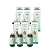 Larch 25ml Biofloral Fleurs De Bach 19, 6팩