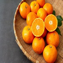 고당도 밀감 만다린귤 감귤 3kg 5kg, 5kg / 로열과 / 53~57과