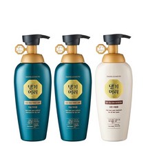 [댕기머리]어성초 샴푸 400ml 2개 + 한방 약초 트리트먼트 400ml, 세트:어성초샴2.약초트1