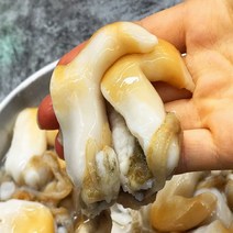 국내 여수산 노랑 새조개 2.5kg 실중량 500g 당일작업 샤브샤브 횟감, 1개