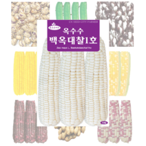 옥수수 콩 씨앗 모음, 고소미땅콩 30g