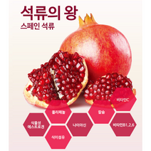 천국의열매 신의전유물인 석류 액기스 농축액 석류즙 1박스 (80g x 60포) 갱년기 여성 호르몬 에스트로겐 피부노화방지 혈관건강 도움 선물용 건강식품