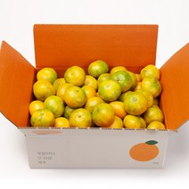 깨비농원 노지 감귤 9kg, 1box, 노지 감귤 9kg 로얄과(S-M)