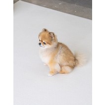 [러그140x180cm] 3장 디팡 소형견 중대형견 펫플레이 강아지매트 미끄럼방지 4mm, 테라조화이트 3장, 7mm 러그(중대형견용)
