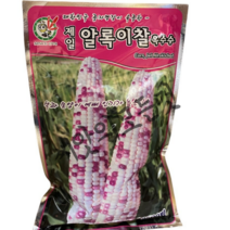 알록이 찰옥수수씨앗 2500립 대포장 대용량전문가용 얼룩찰옥수수씨앗 괴산으뜸품종 F1종자