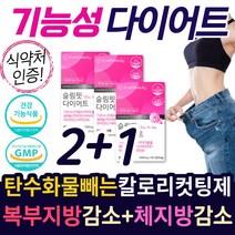 60대 중년 시니어 늘어진 뱃살 다이어트 보조제 식약청인정 체지방 감소 탄수화물 차단 추천 40대 남성 복부 내장지방 50대 술살 나잇살 가르시니아 가르니시아 가르시아나 차전자피, 60정x 54g x 3개, 60정