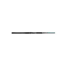 시마노 SHIMANO Teramar XX SE 캐스팅 해수 | 인쇼어 | 캐스팅 낚싯대, Power: Heavy + 패스트