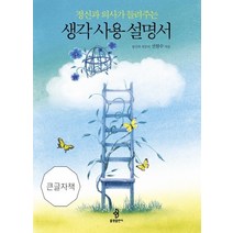 정신과 의사가 들려주는 생각 사용 설명서(큰글자책), 불광, 전현수