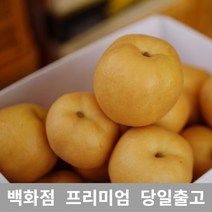 배15KG 배선물세트 과일배 나주배 배 도라지배즙 배도라지즙 배즙, 15KG