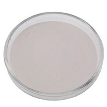 젤라틴 500g